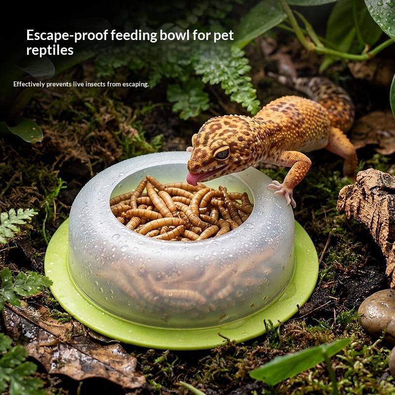 1Pc ABS Reptile Feeding Dish A - đánh giá và giá Water Dish Reptile